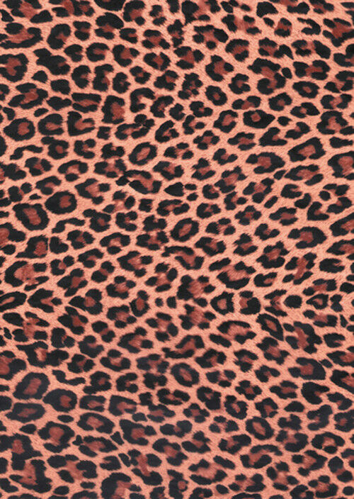 DECOPATCH Paper:Animal Skins 207 Leopard Print - Me Books Asia Store