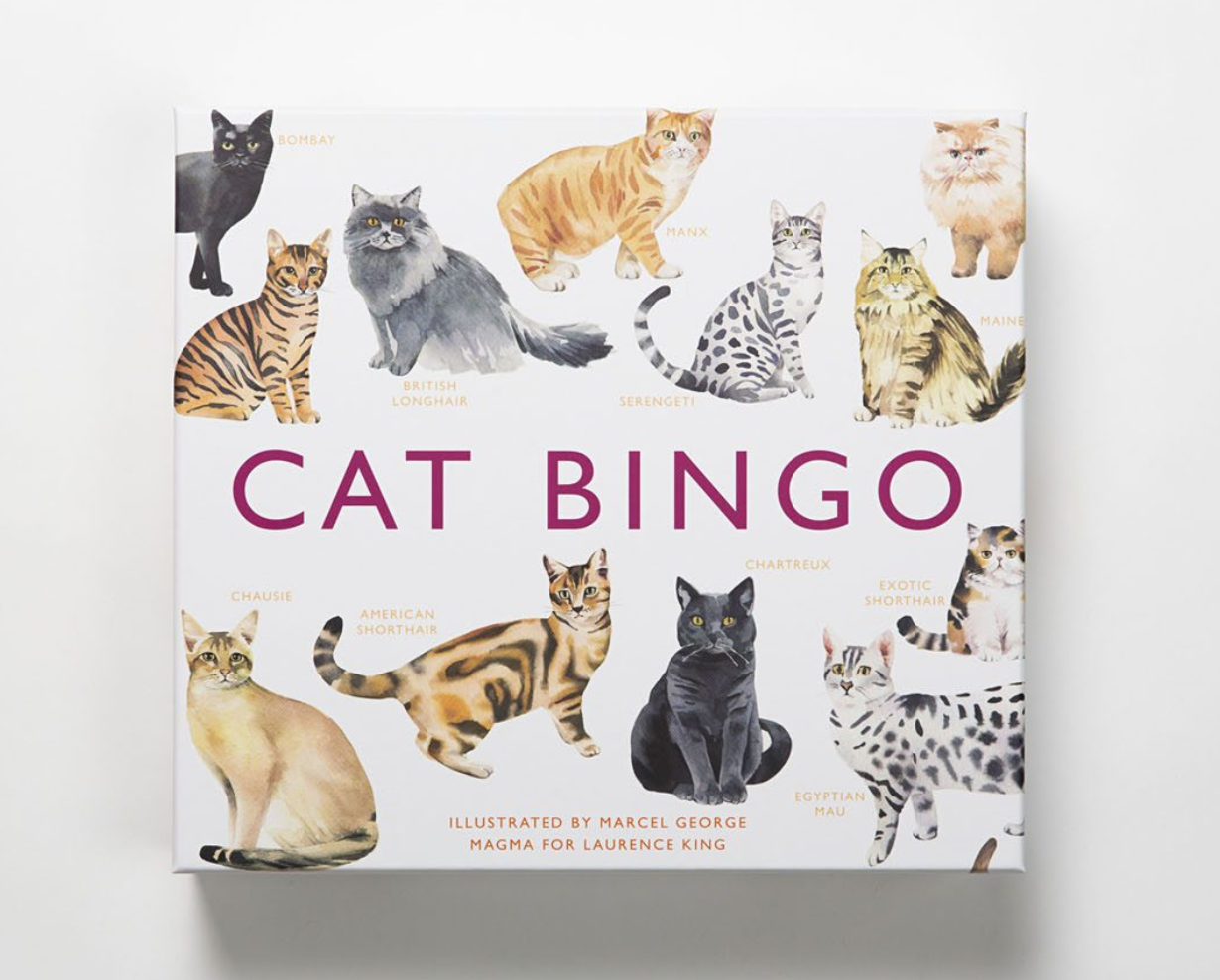 Cat Bingo - Me Books Asia Store