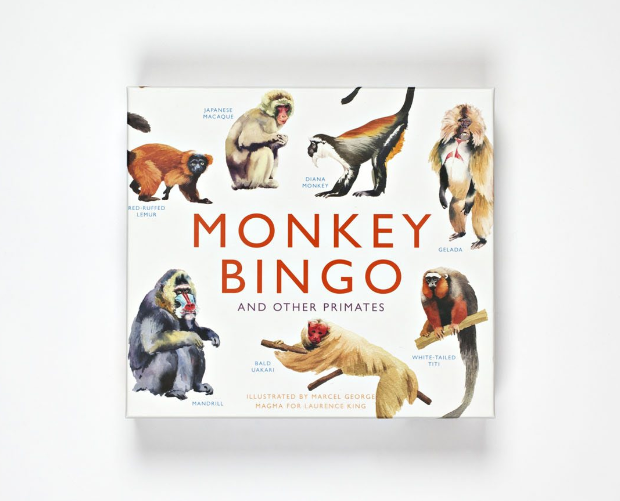 Monkey Bingo: And Other Primates - Me Books Asia Store